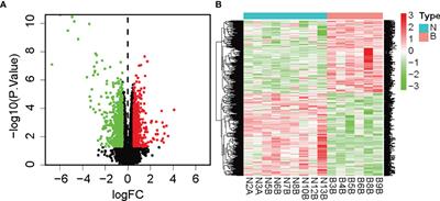 Screening and Identification of Hub Genes in the Development of Early Diabetic Kidney Disease Based on Weighted Gene Co-Expression Network Analysis